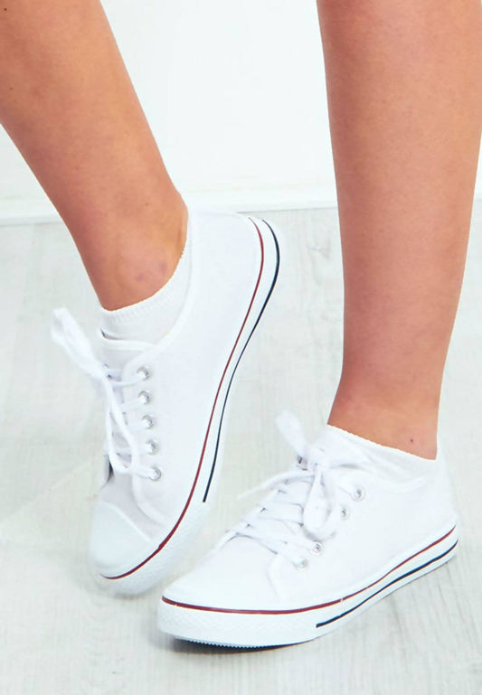 Wholesale Canvas Flat Lace Up Trainers